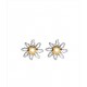 PENDIENTES EGUZKILORE PERFORADO PLATA