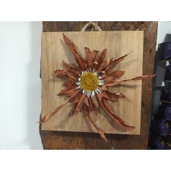 TABLA MADERA EGUZKILORE CUERO