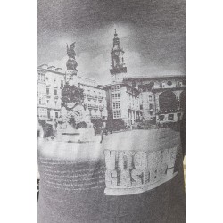 Camiseta Vitoria-Gasteiz